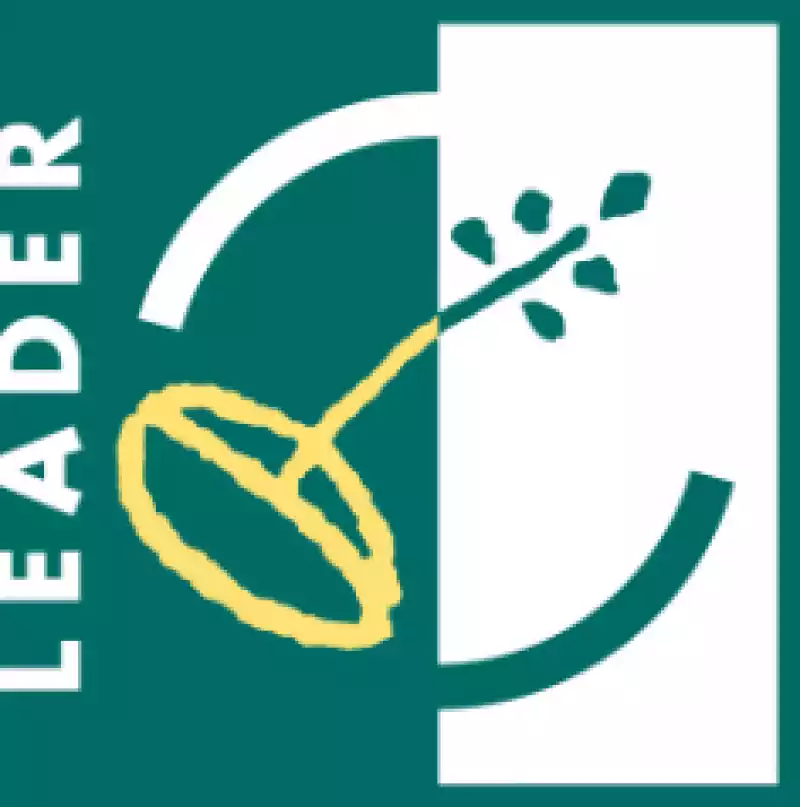 Leader Leader