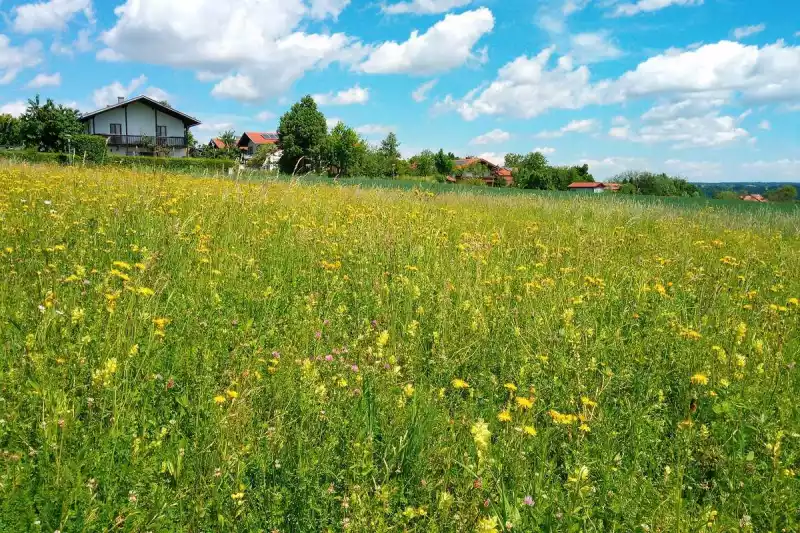 Baugebiet "Wohnhof II" Baugebiet "Wohnhof II" im Hüttenthaler Feld